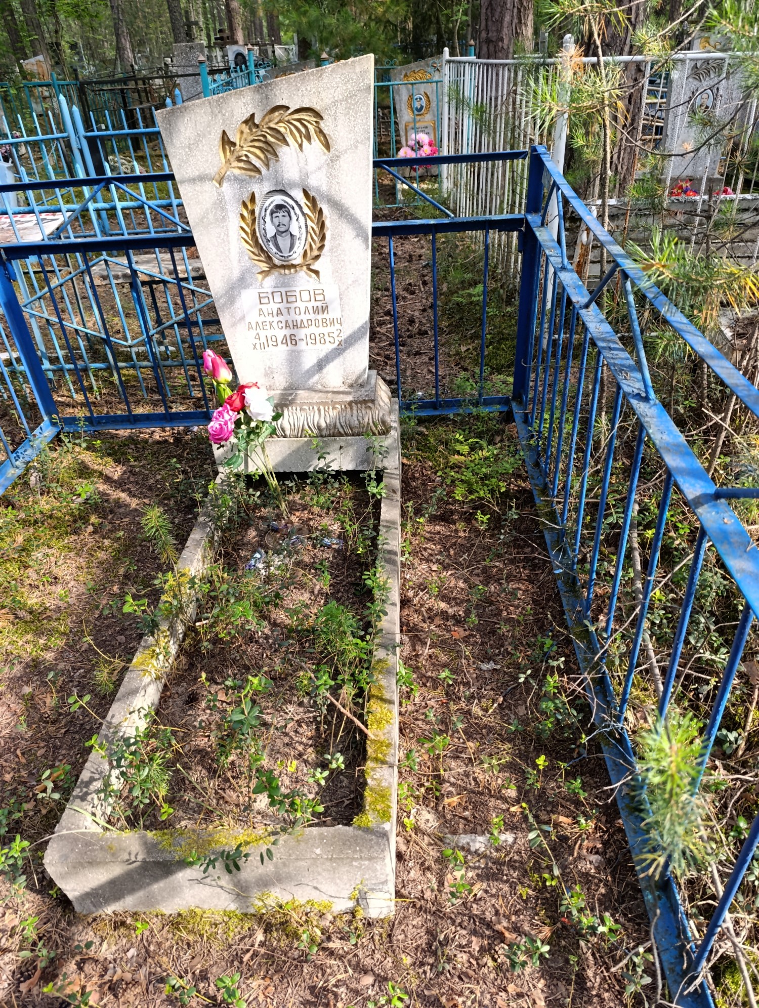 Бобов Анатолий Александрович