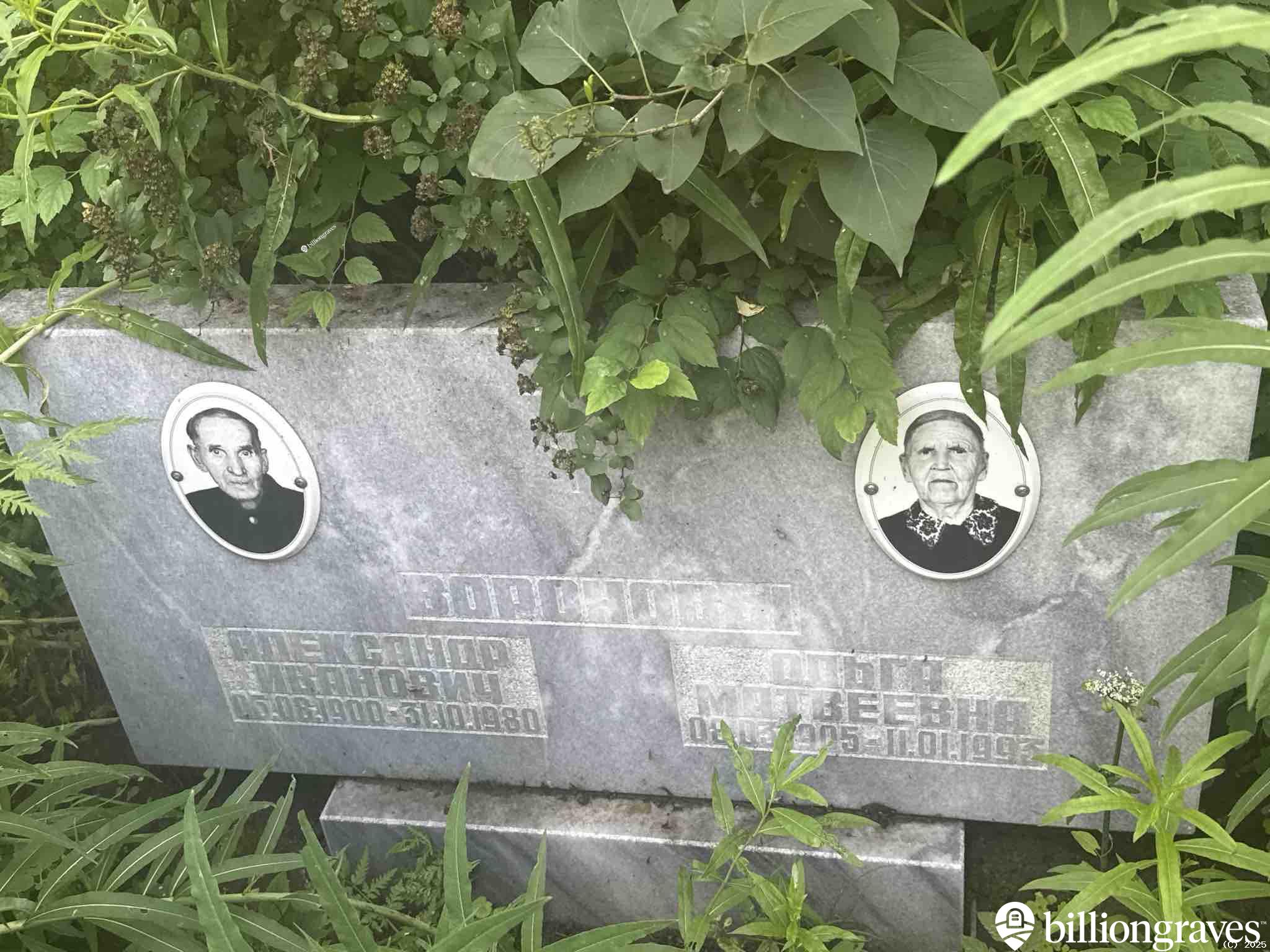 Воронов Александр Иванович