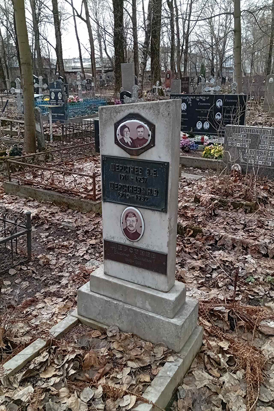 Шерстнева Н. В.