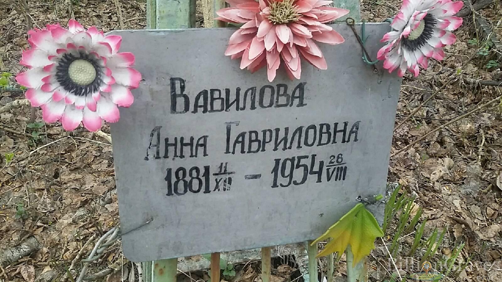 Вавилова Анна Гавриловна
