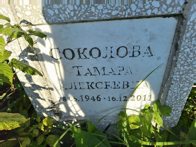 Соколова