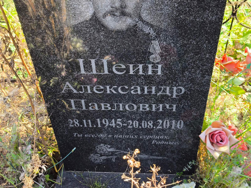 Шеин