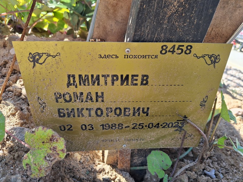 Дмитриев
