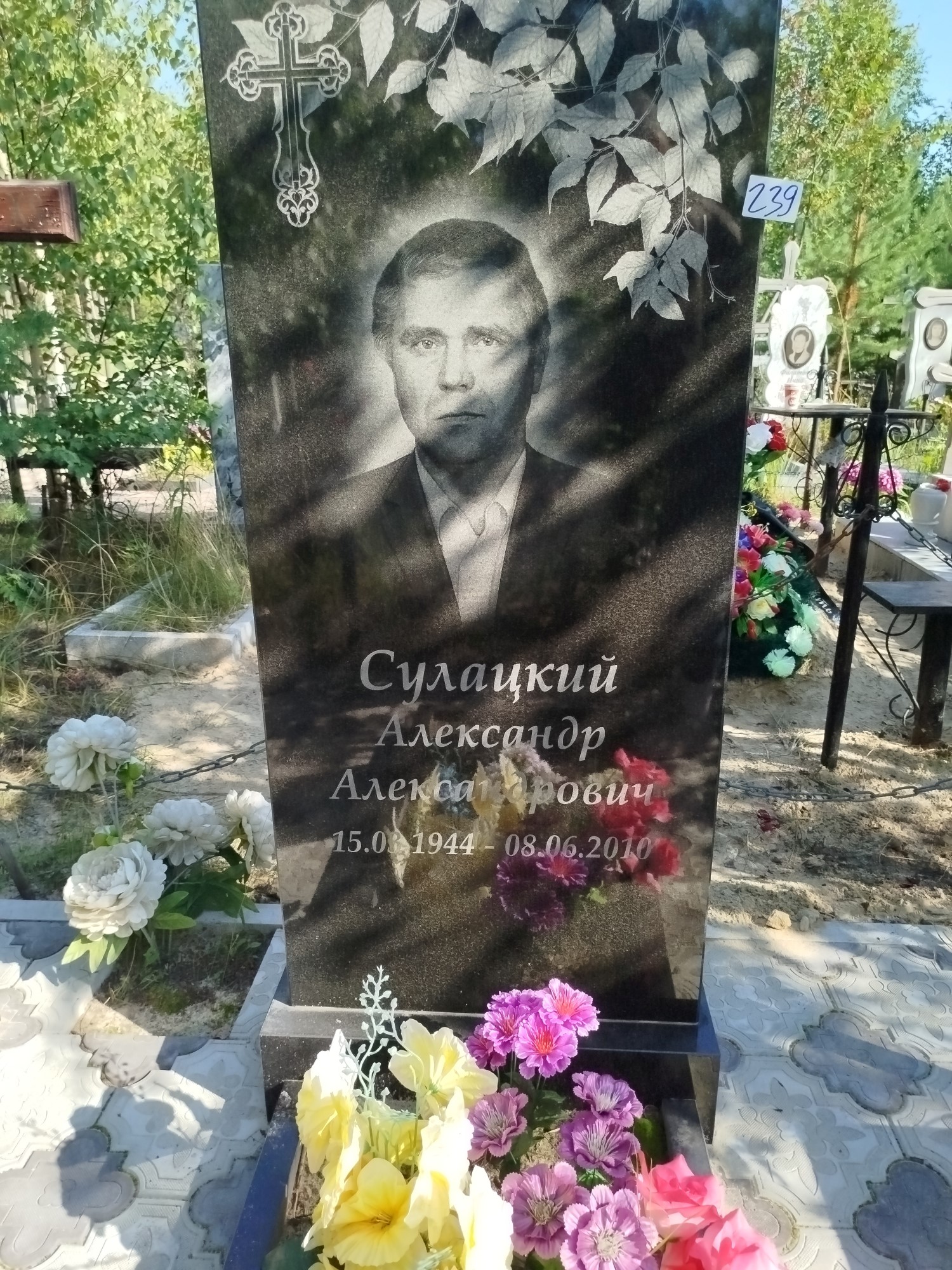 Сулацкий Александр Александрович