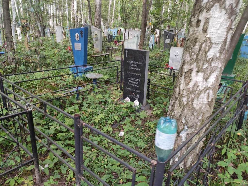 Савельев Валерий Петрович