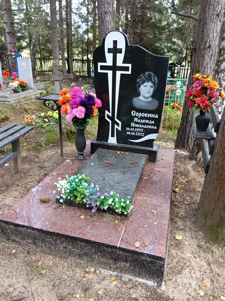 Сорокина Надежда Николаевна