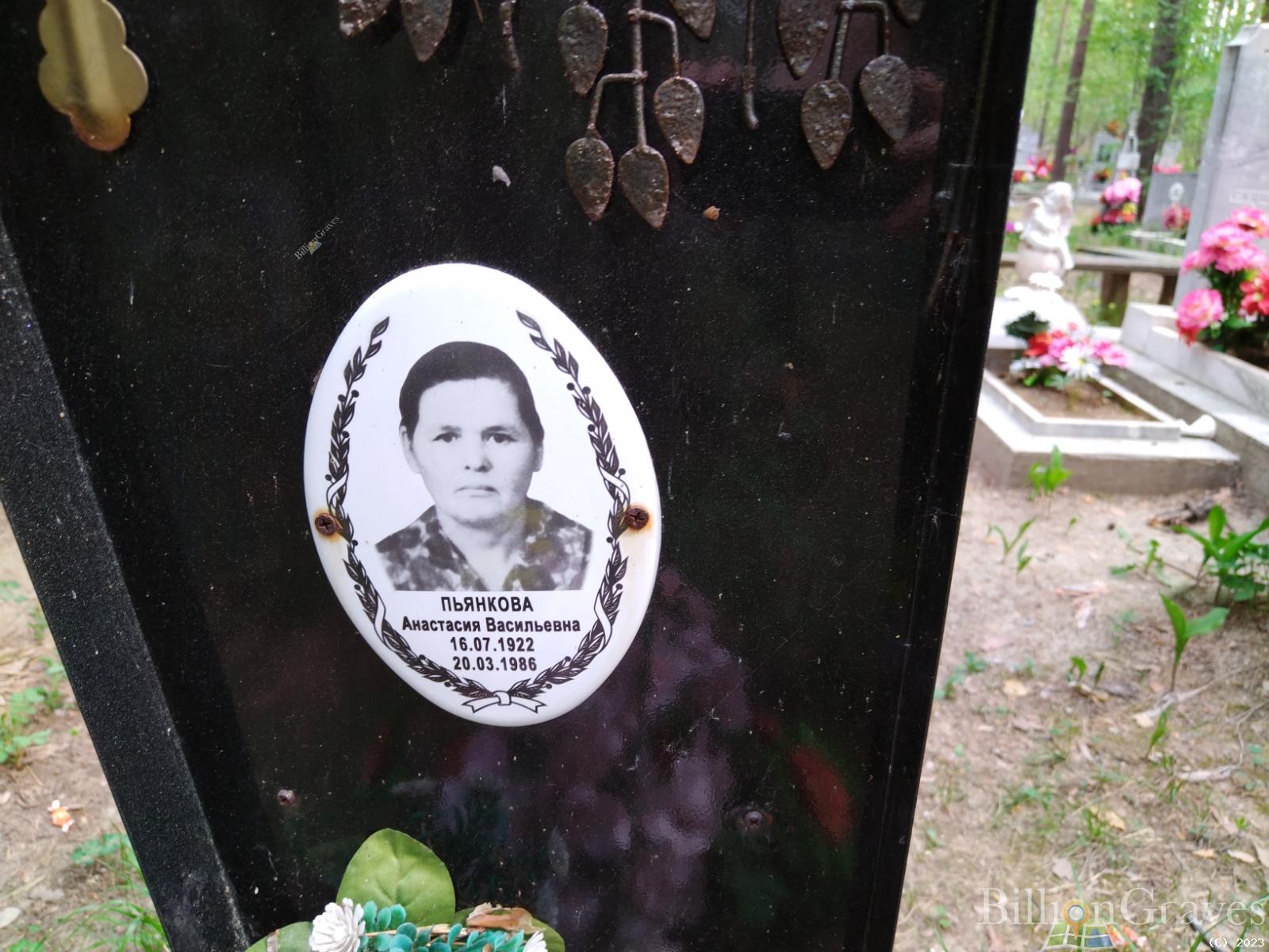 Пьянкова Анастасия Васильевна