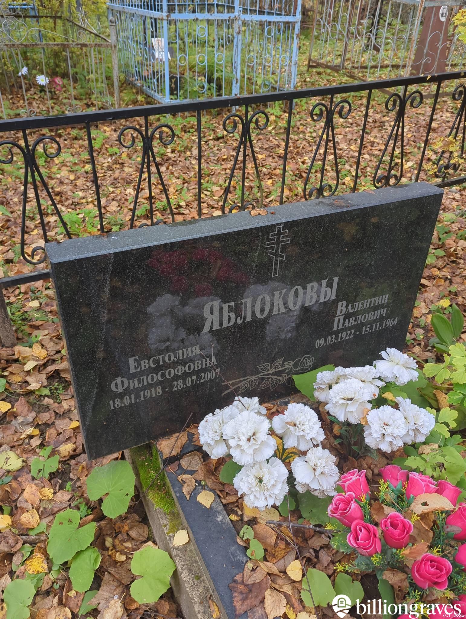 Яблоков Валентин Павлович