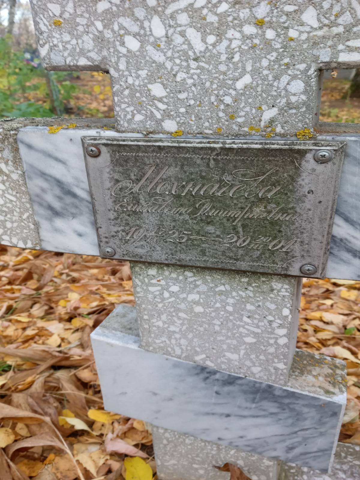 Мохначева Елизавета Дмитриевна