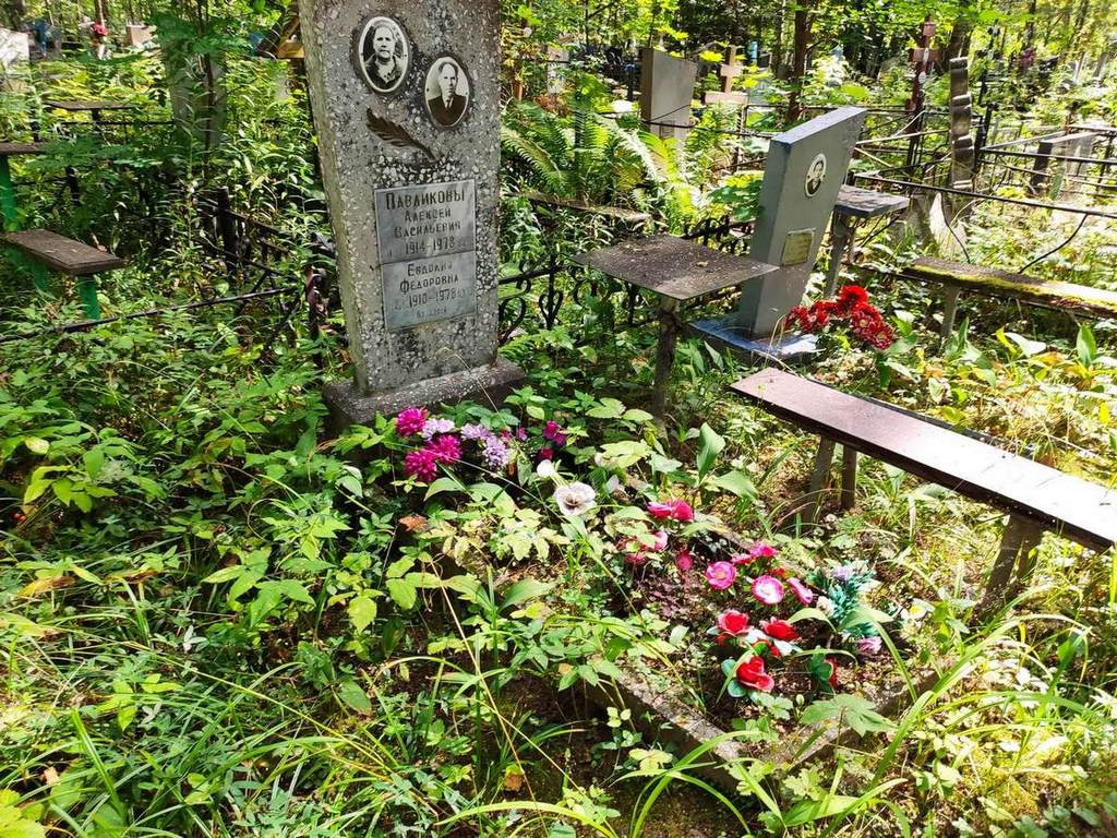 Павликов Алексей Васильевич