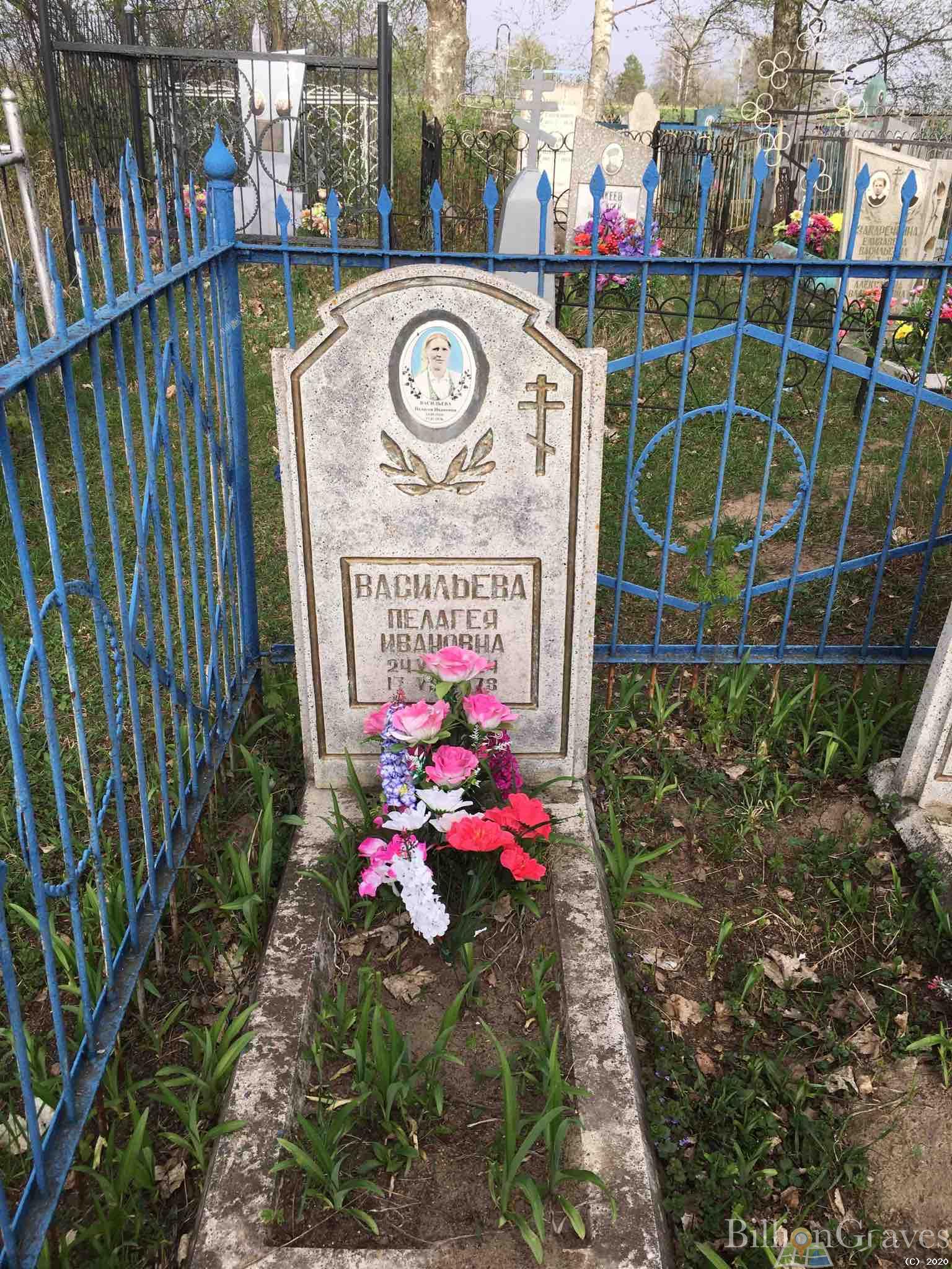 Васильев Николай Петрович