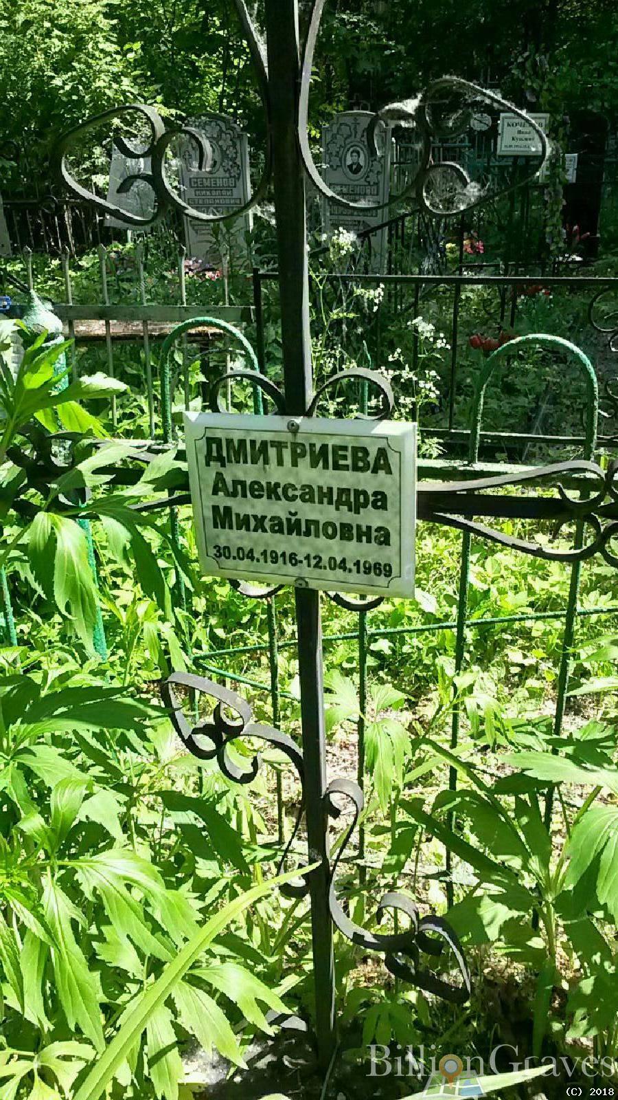 Дмитриева Александра Михайловна