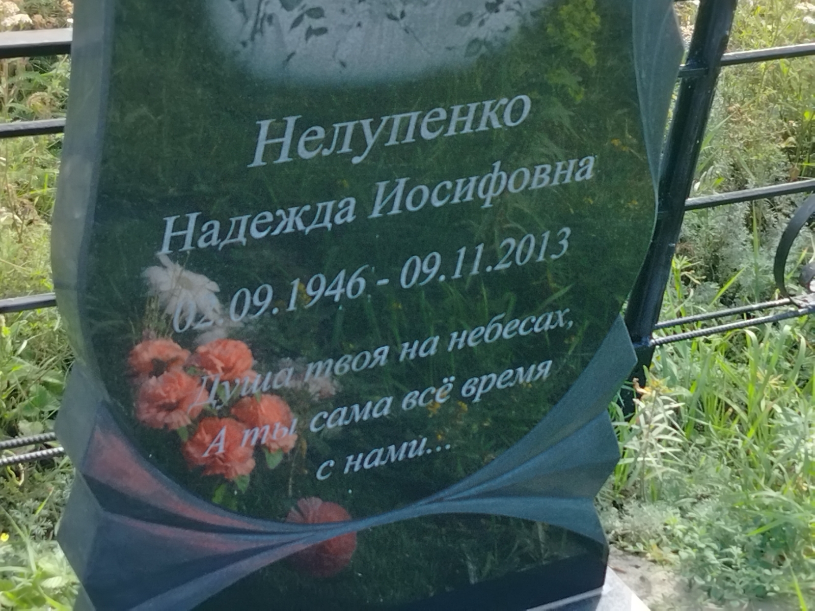 Нелупенко Надежда Иосифовна