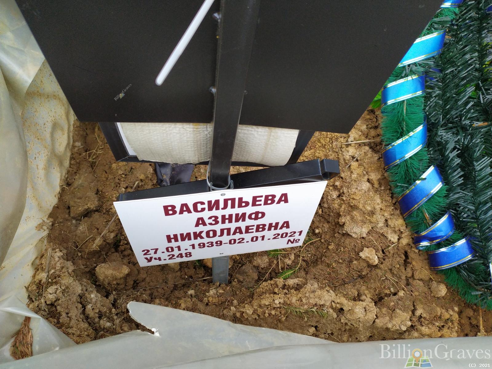 Васильевна Азниф Николаевна