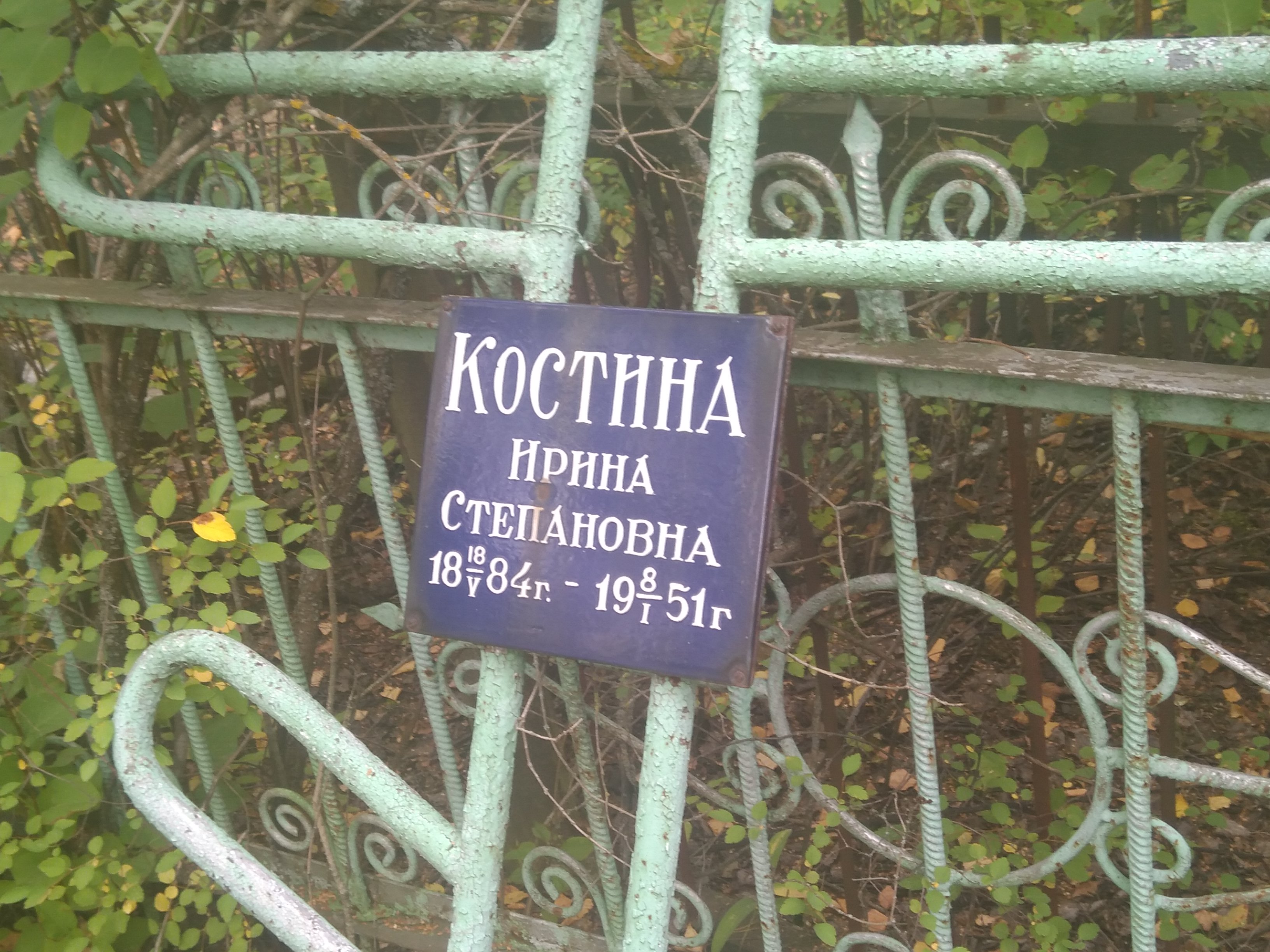 Костина Ирина Степановна