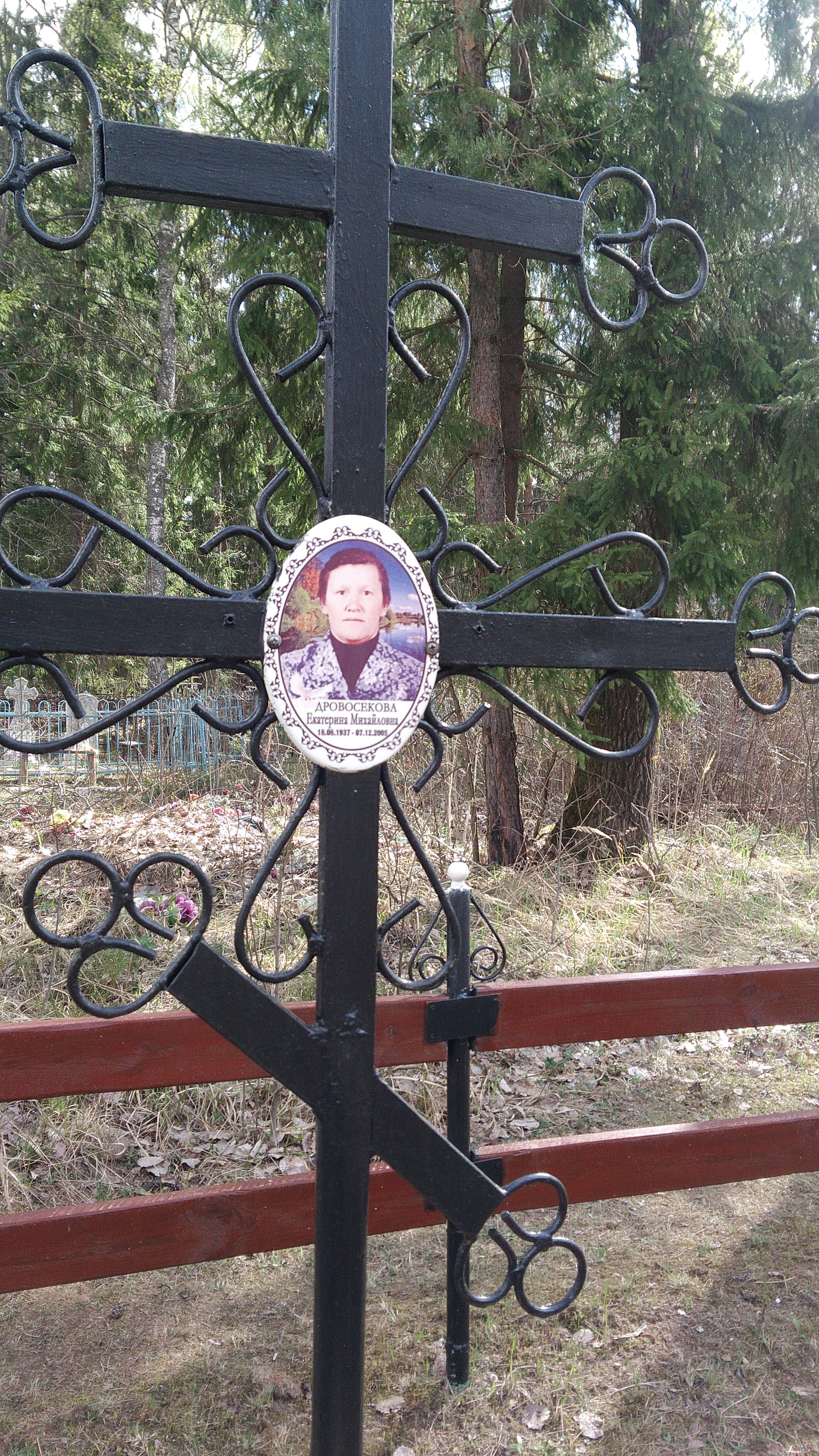 Дровосекова Екатерина Михайловна
