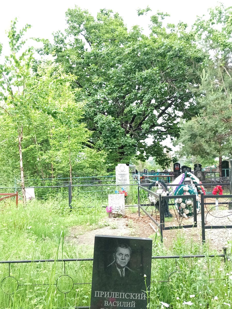 Прилепский Василий Ефимович