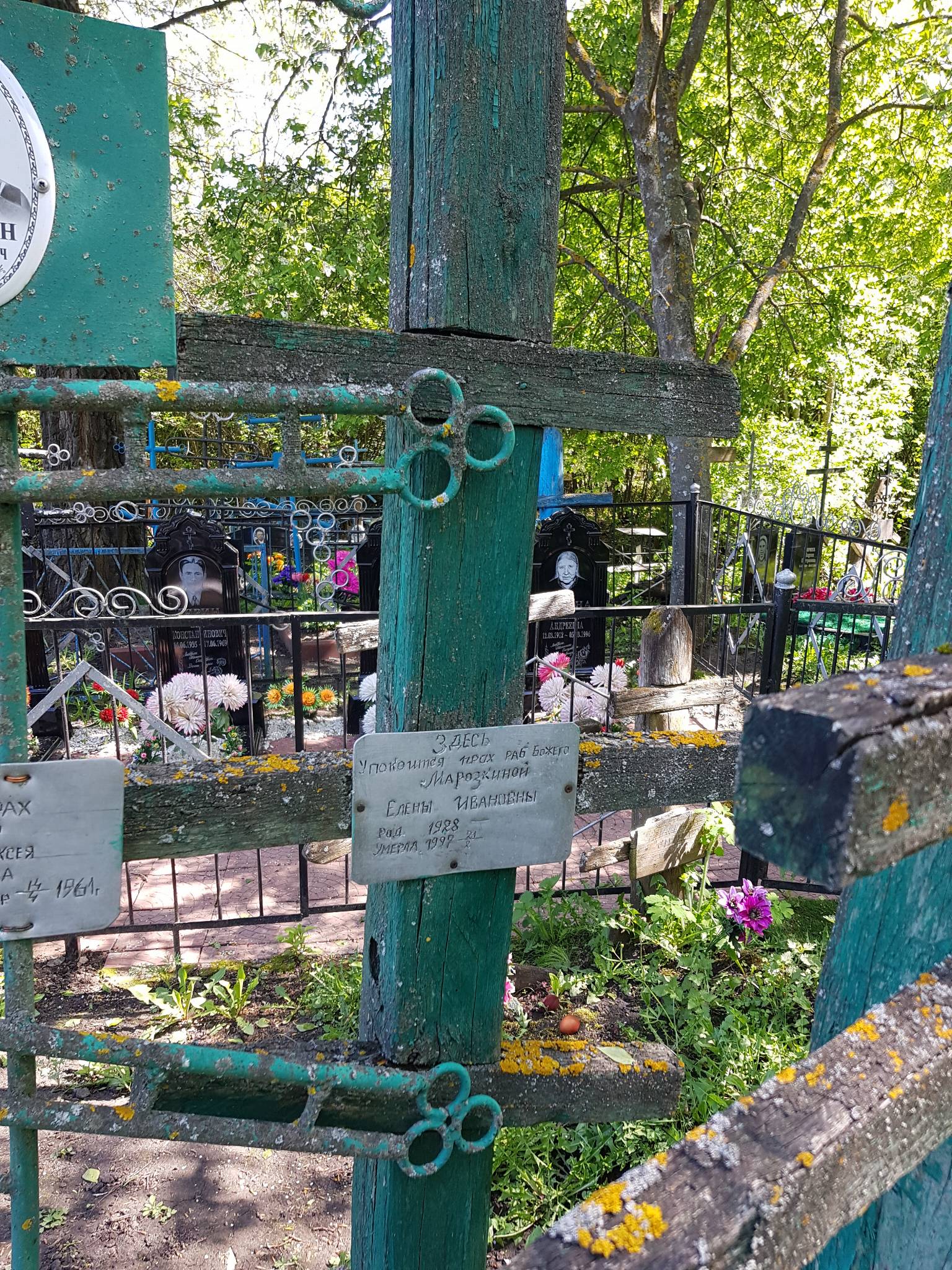 Морозкина Елена ивановна