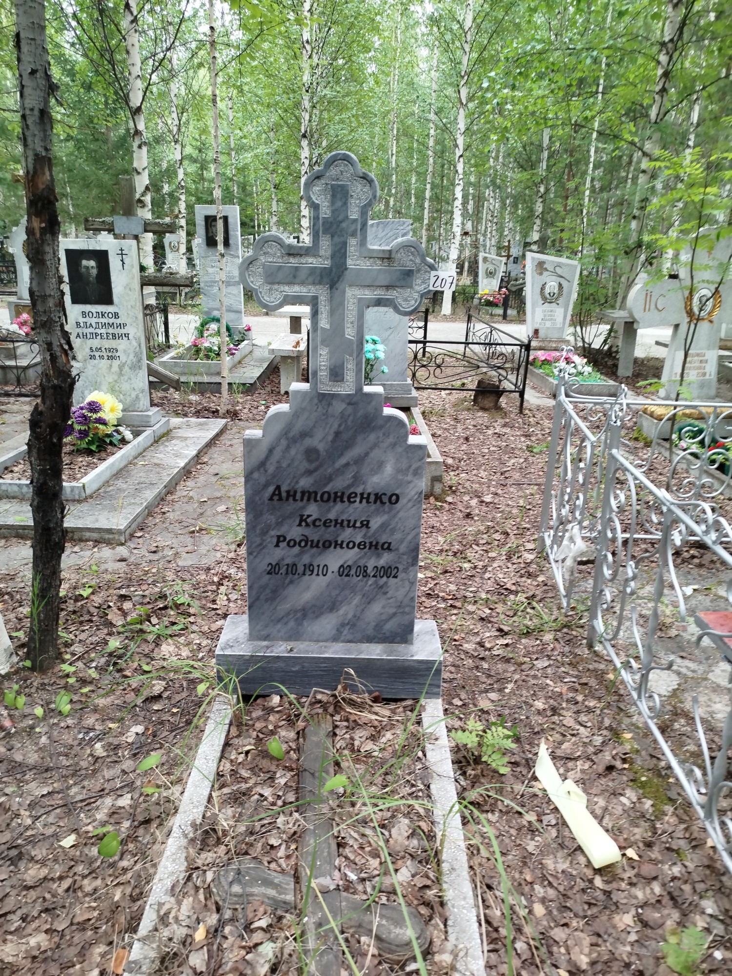 Антоненко Ксения Родионовна