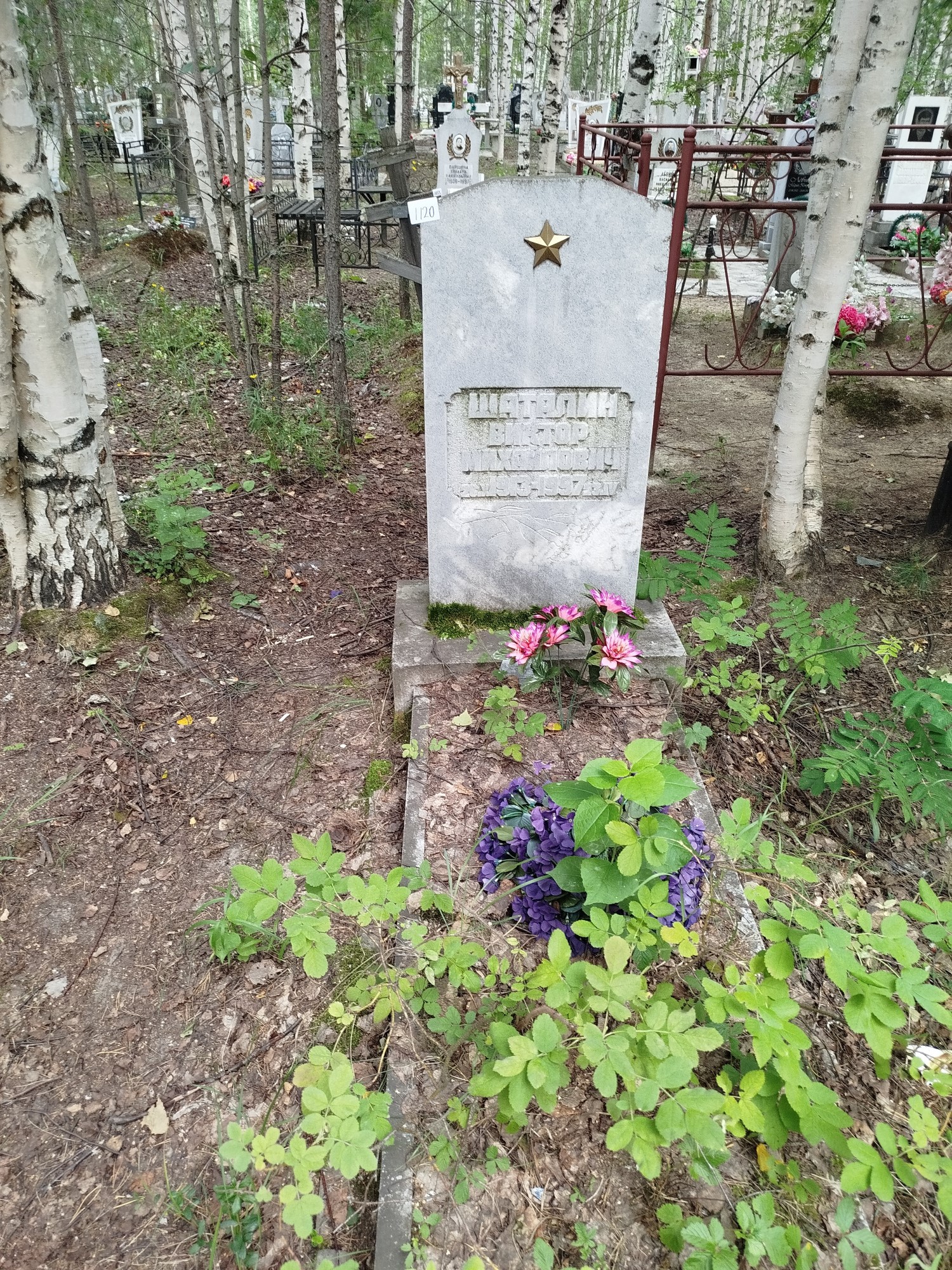 Шаталин Виктор Михайлович
