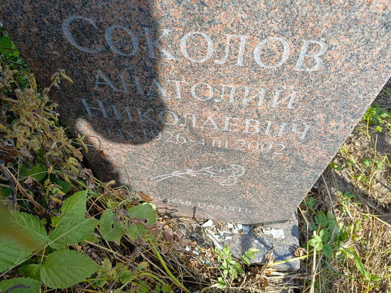 Соколов