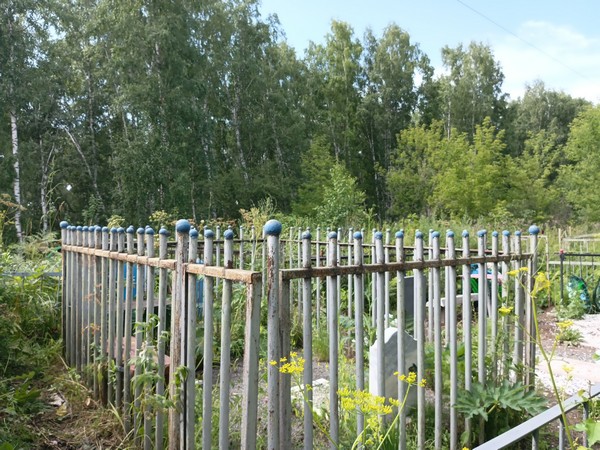 Комарова Евдокия Михайловна