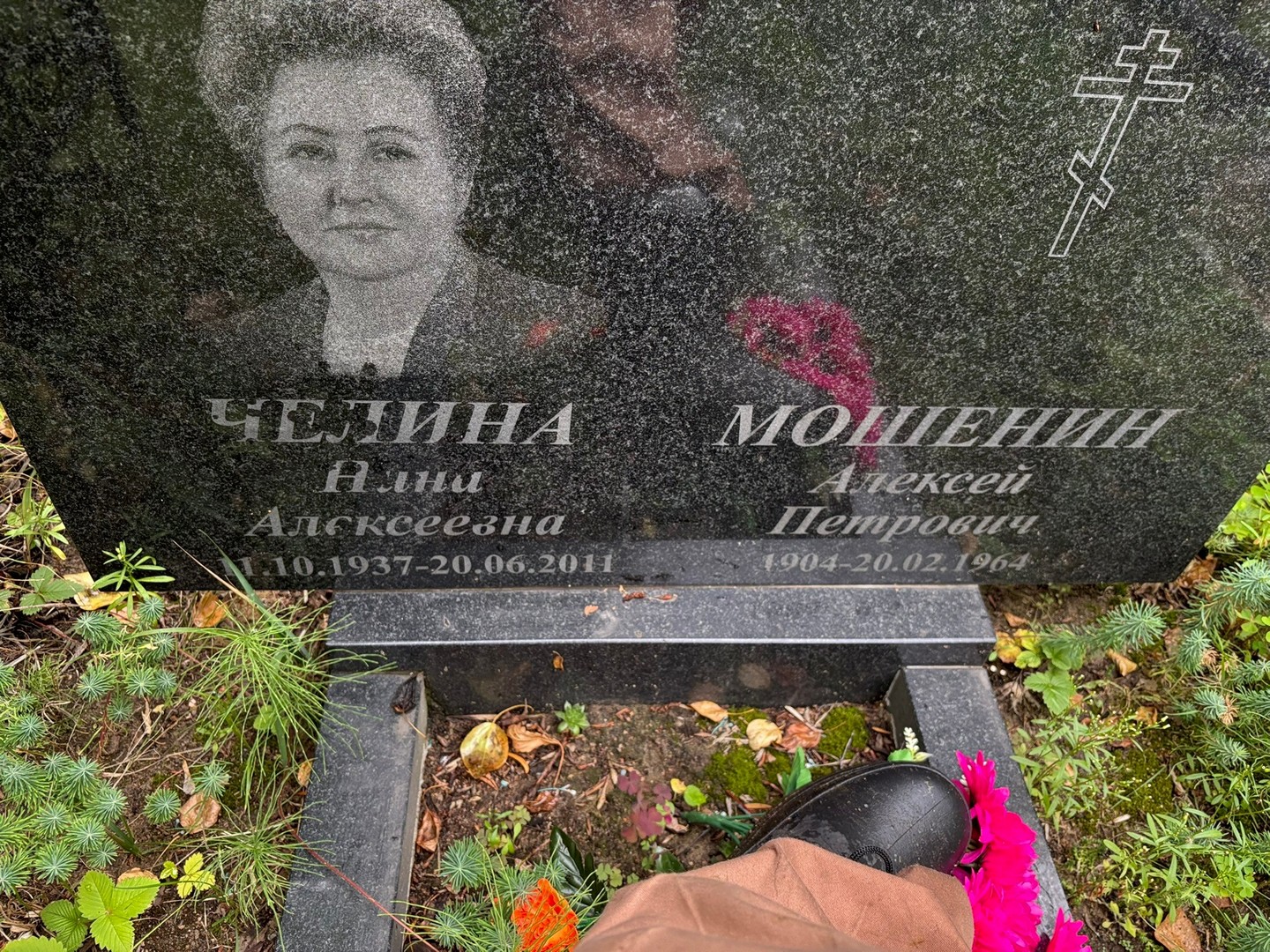 Мошенин
