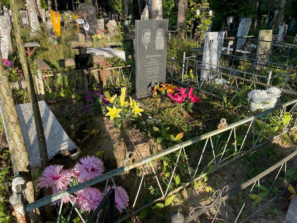 Шипунова Александра Николаевна