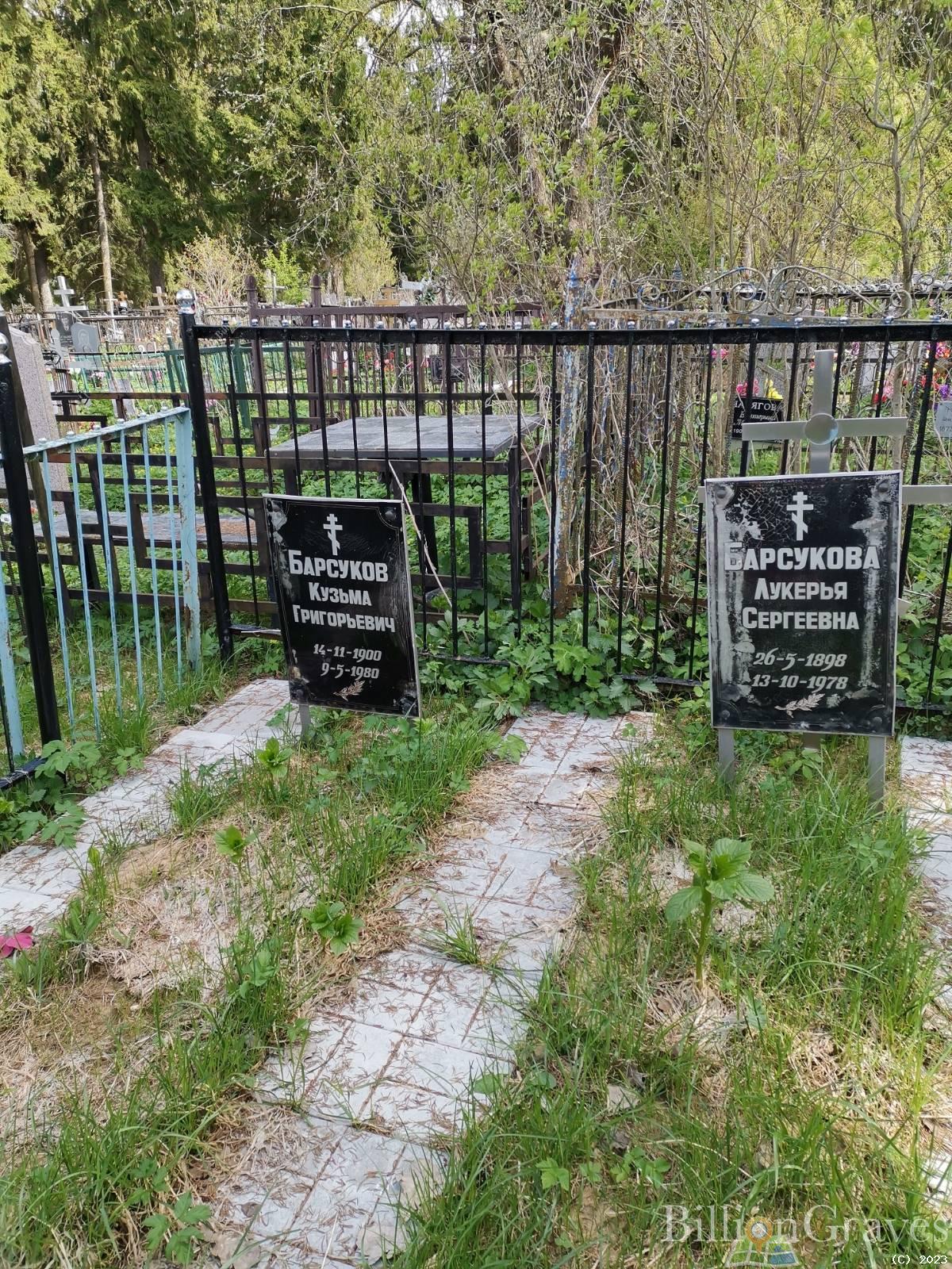 Барсукова Лукерья Сергеевна