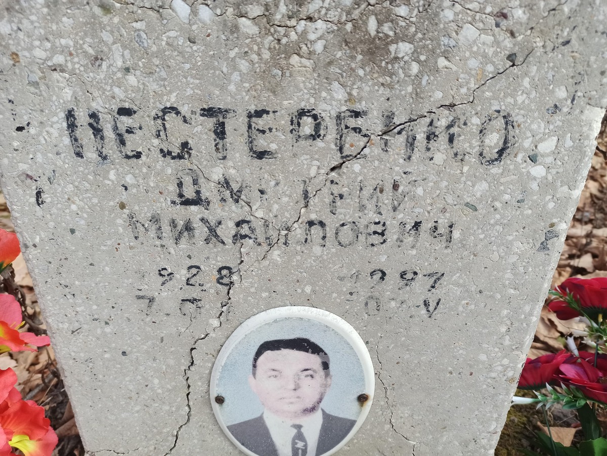 Нестербинов Дмитрий Михайлович