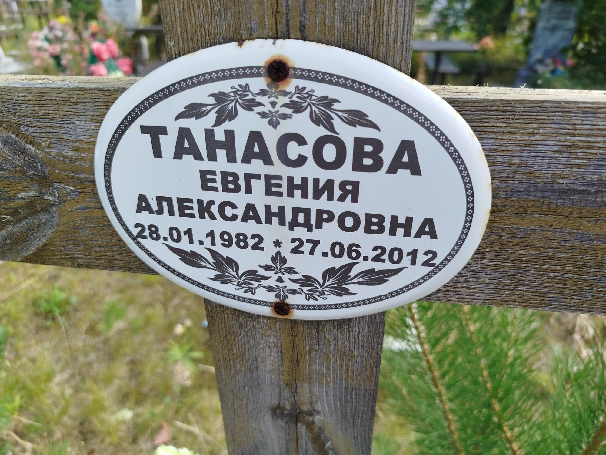 Танасова Евгения Александровна