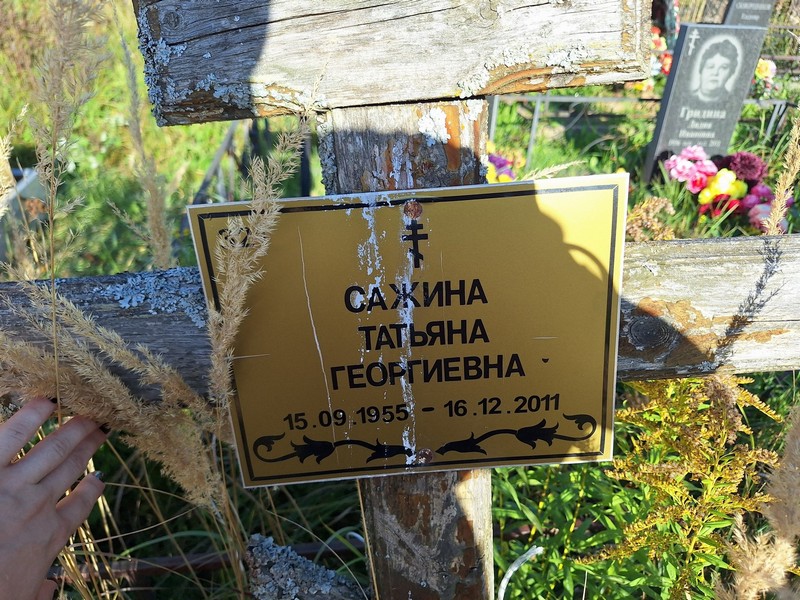 Сажина