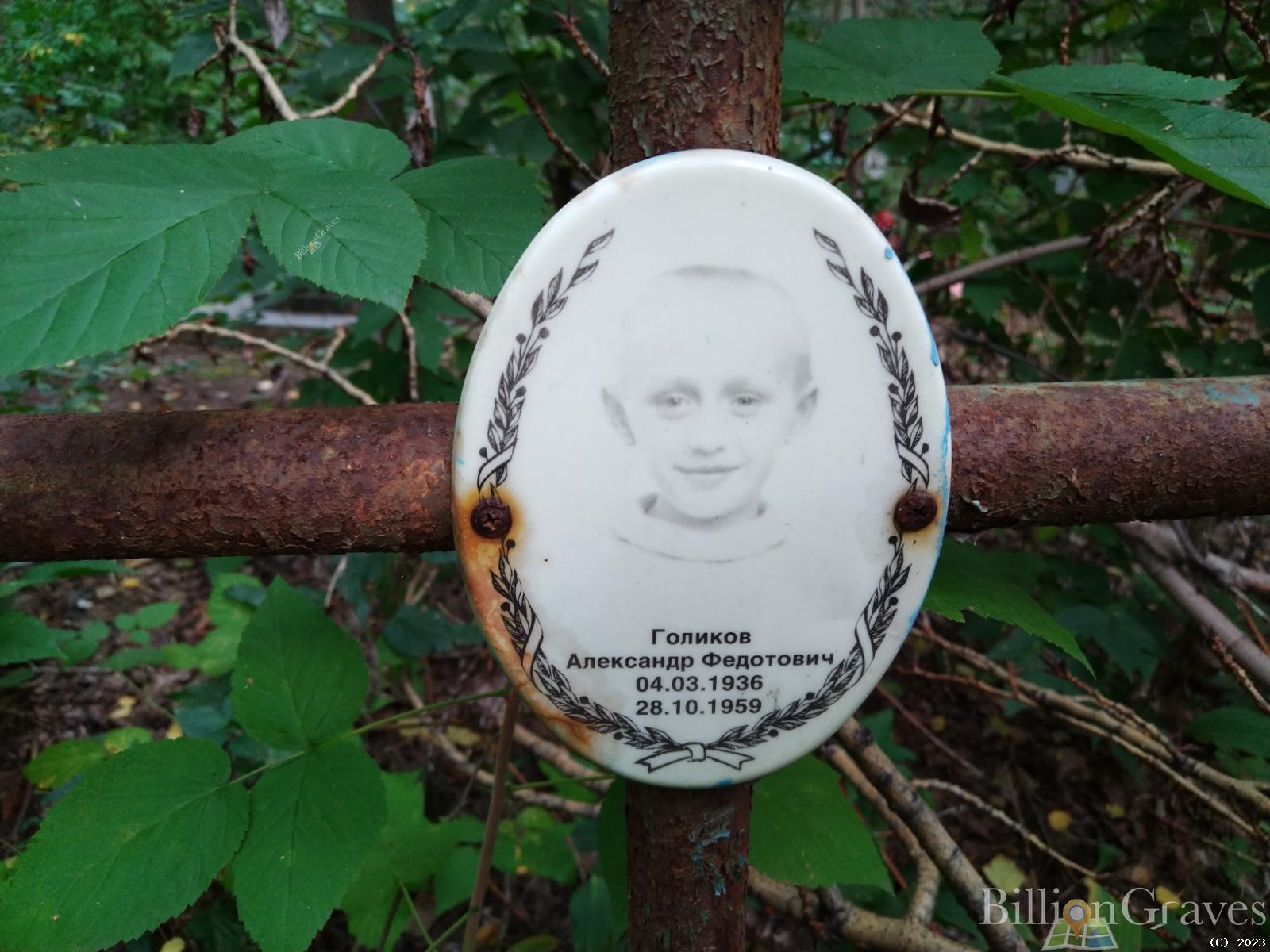 Голиков Александр Федотович