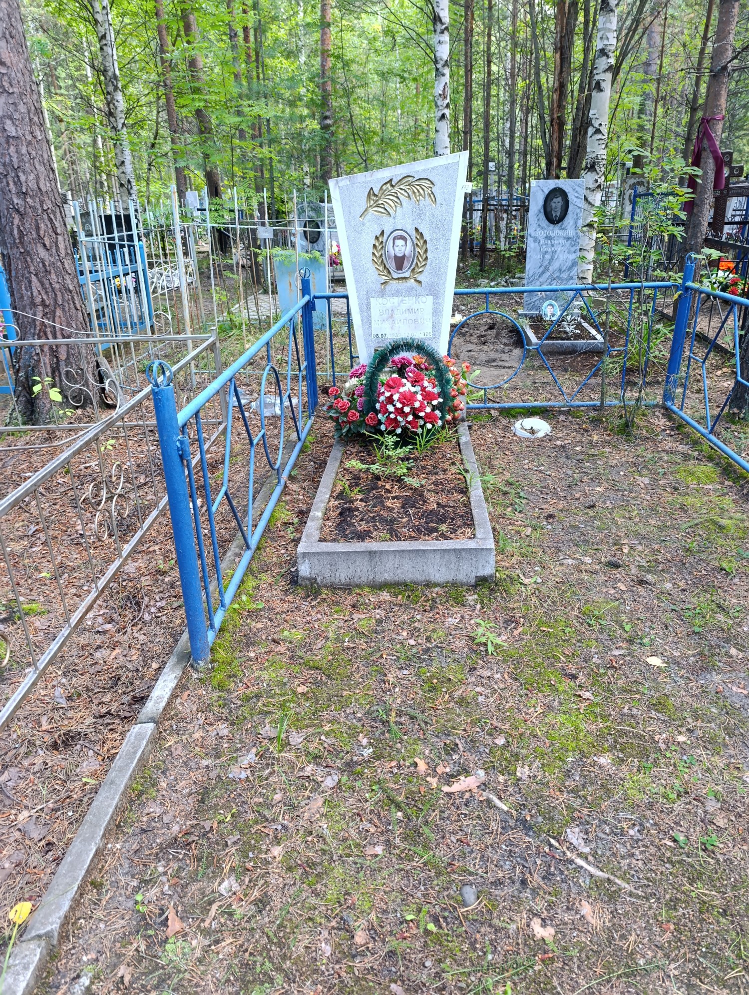 Костенко Владимир Михайлович