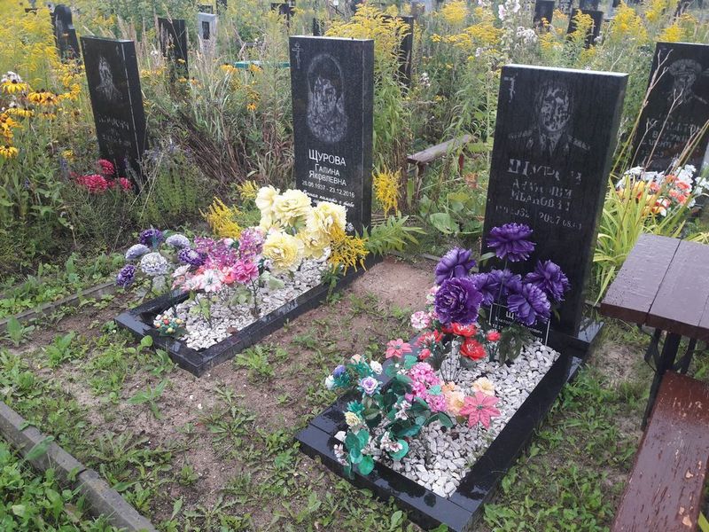 Щуров Анатолий Иванович