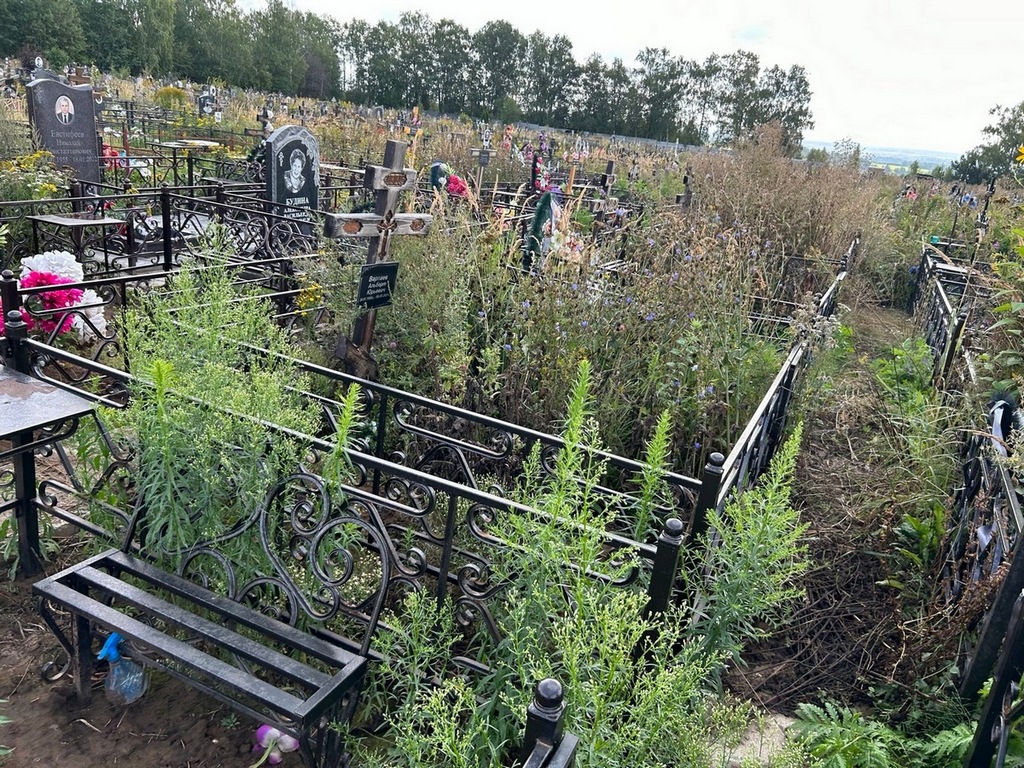 Варпаев Альберт Юрьевич