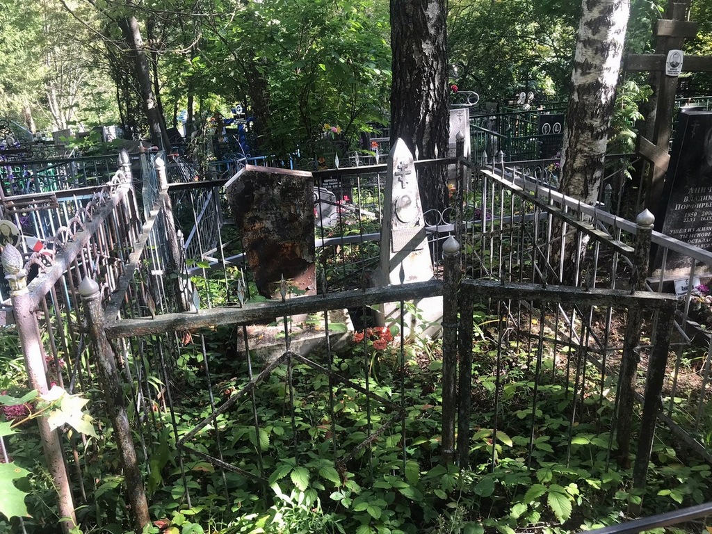 Сафатова Анна Михайловна