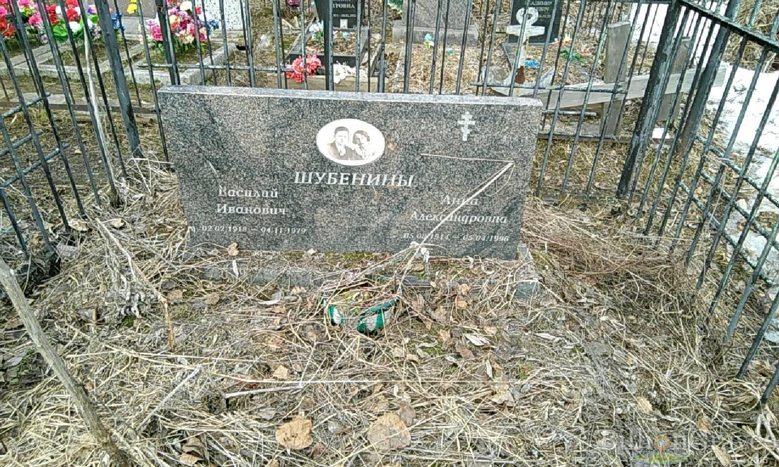 шубенин василий иванович