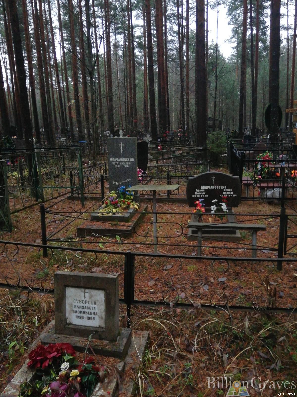 Молчановская Ксения Павловна