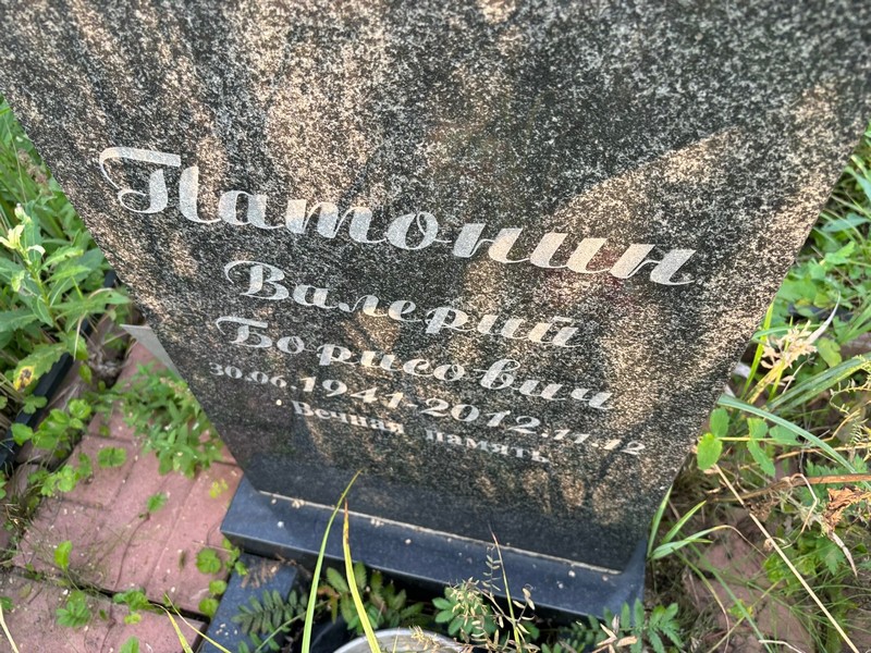 Патонин