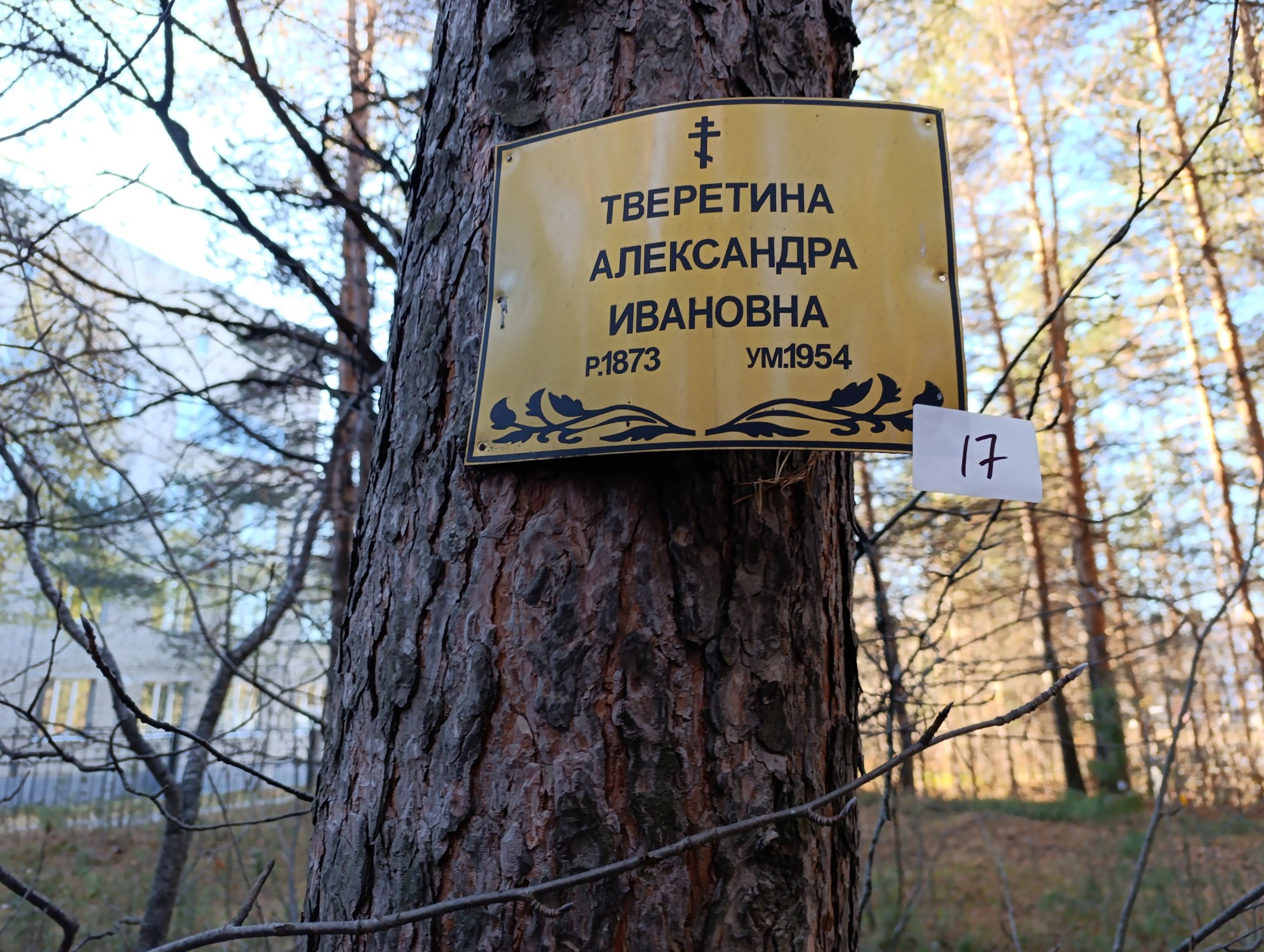 Тверетина Александра Ивановна