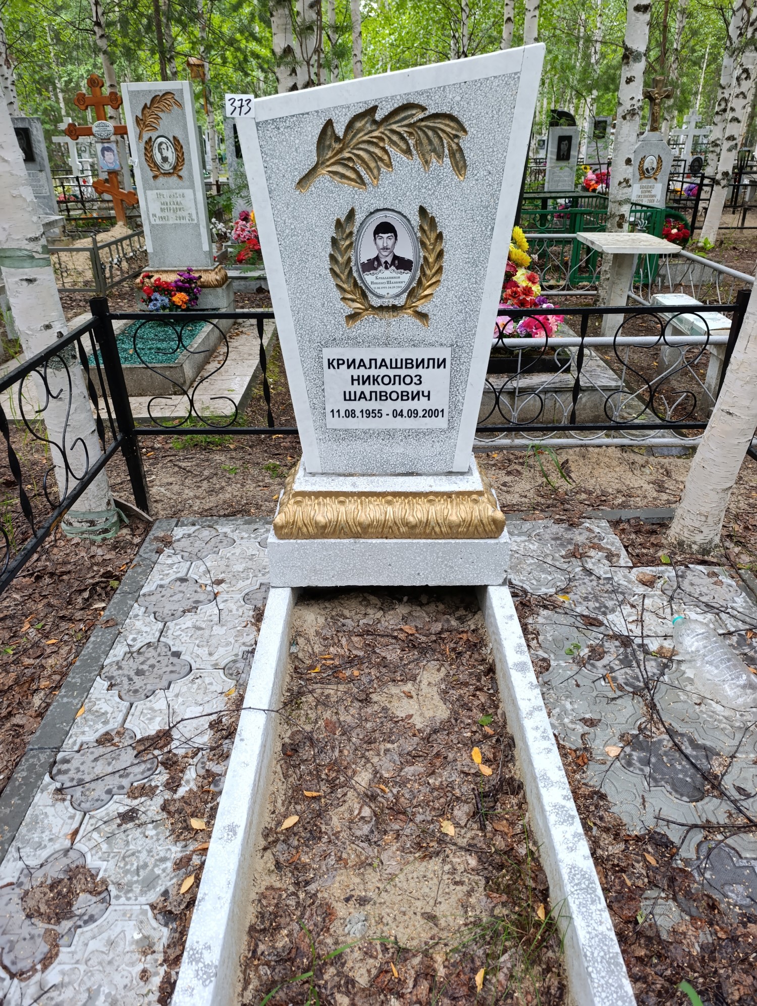Криалашвили Николоз Шалвович