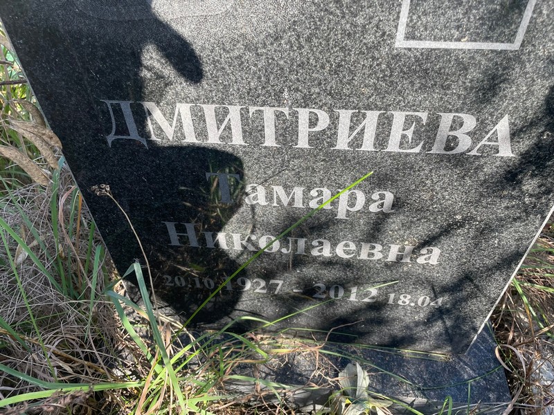 Дмитриева