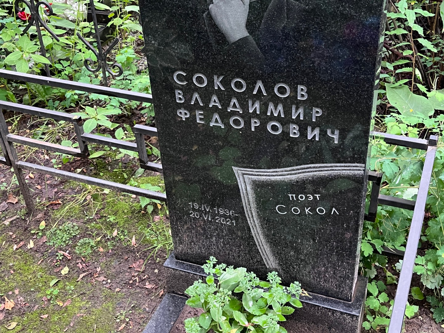 Соколов