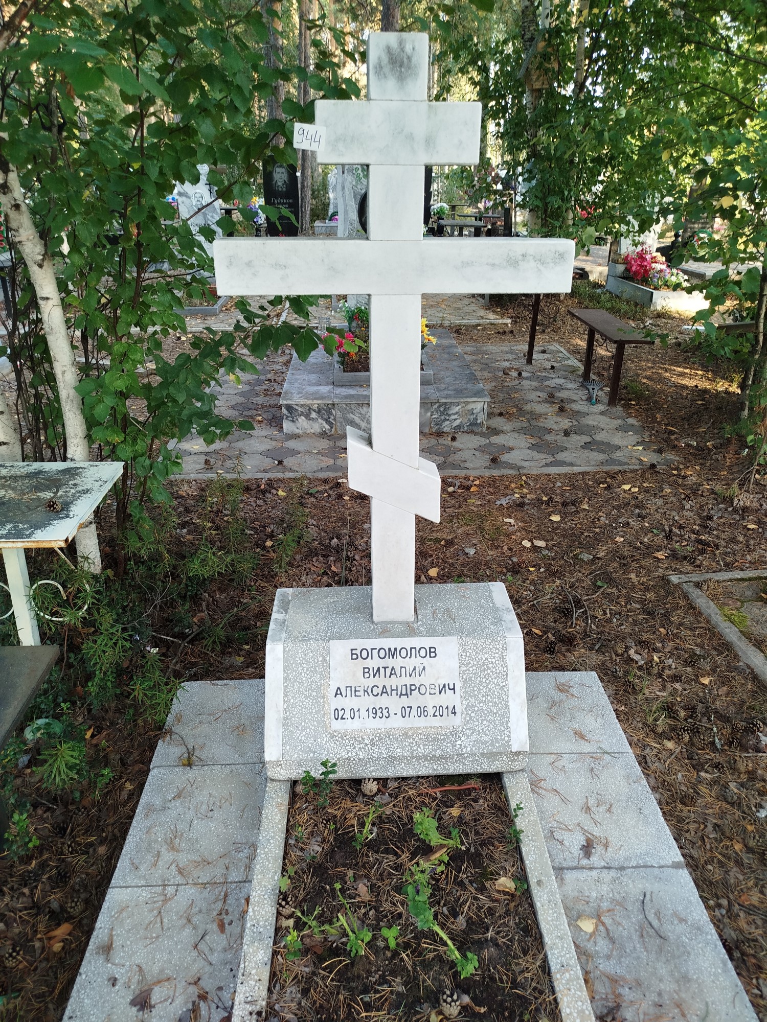 Богомолов Виталий Александрович