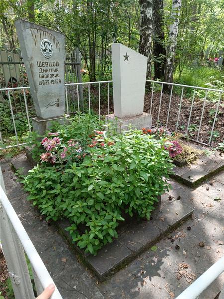 Шевцов Дмитрий Иванович
