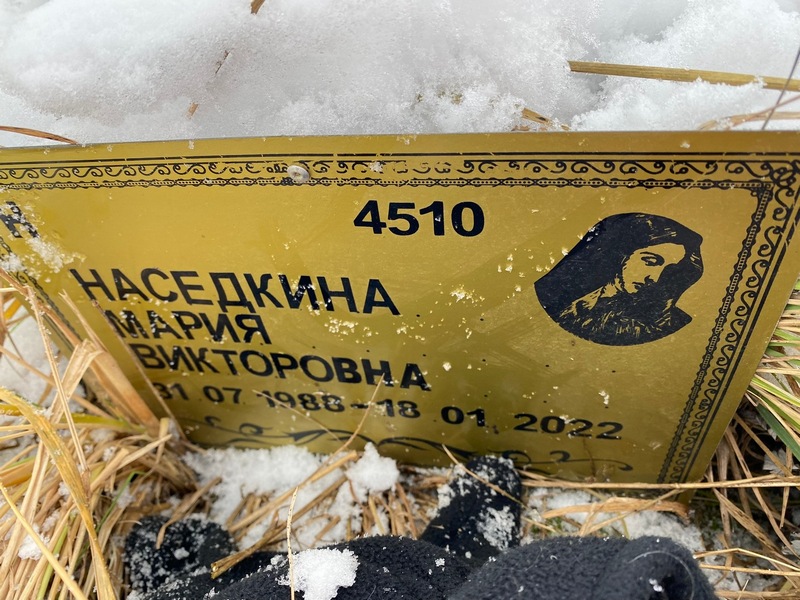 Наседкина