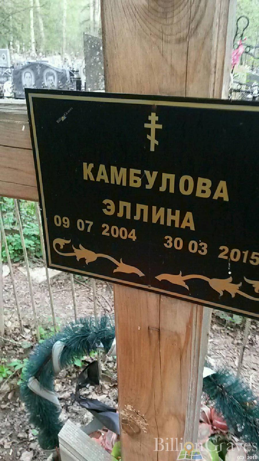 камбулова эллина