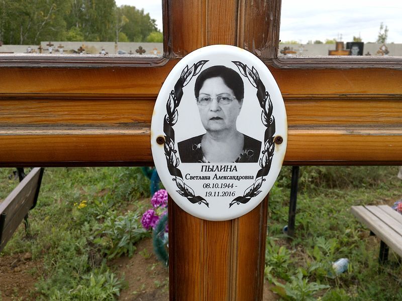 Пылина