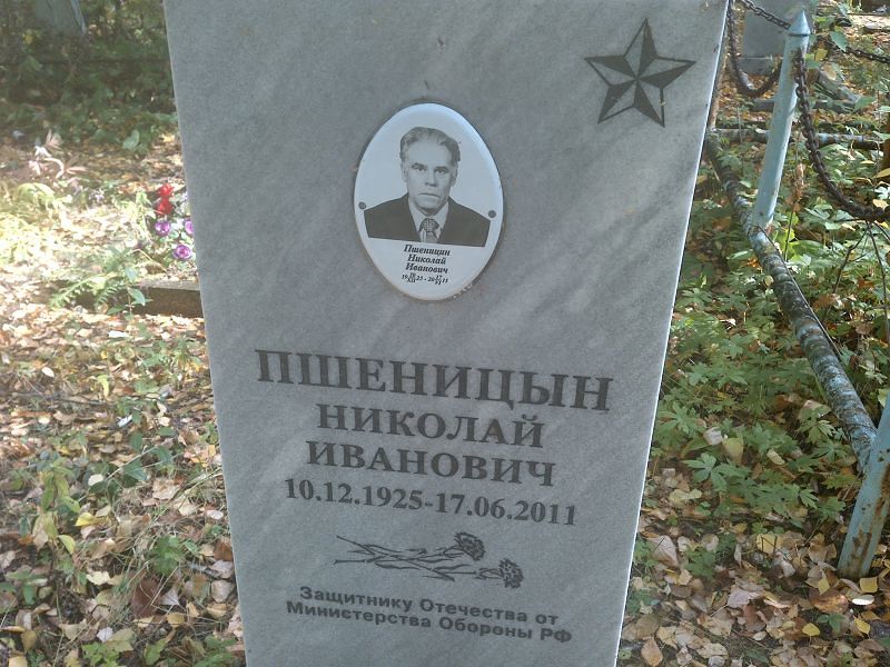 Пшеницын